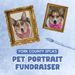 Pet Portrait Fundraiser - logo